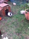 ipod bilder 111.jpg