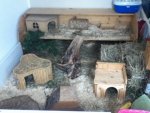 ipod bilder 24.09.12 081.jpg