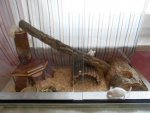 DSCN4885 - Kopie.jpg