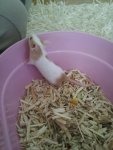 20120417_172936.jpg