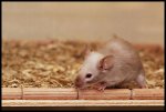 IMG_3311klein.jpg