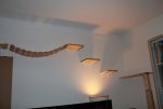 IMG_0817.jpg