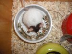 Bild 039.jpg