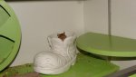 DSC09705.jpg