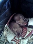 DSC00102.JPG