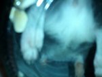 IMG_20130326_191025.jpg