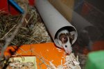 DSC_1510.jpg