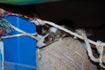 DSC_1804.jpg