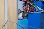 DSC_1807.jpg