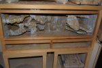 DSC05988.jpg