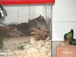 März 2013 004.jpg