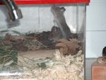 März 2013 006.jpg