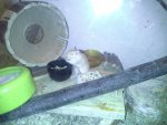 20130318_200641.jpg