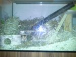 20130404_194112.jpg