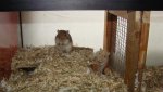 DSC00847.jpg