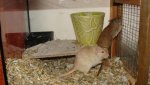 DSC00902.jpg