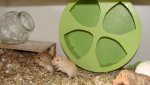 DSC01014.jpg