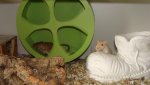 DSC01019.jpg