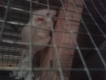20130416_213810.jpg