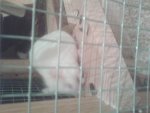 20130418_205730.jpg