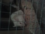 20130418_205649.jpg
