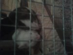 20130418_205701.jpg