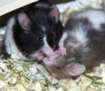 Bela und Max.jpg