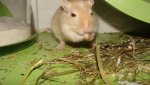 DSC01151.jpg