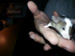 20130510_233138.jpg