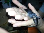 20130510_233937.jpg