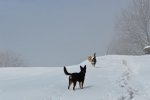 unterwegs 014.jpg