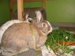 DSC01277.jpg