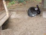 DSC01200.jpg