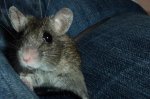 DSC02185.jpg