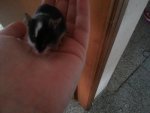 20130310_152417.jpg