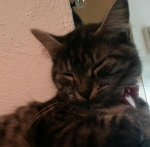 20121123_204058-1.jpg