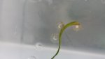 20130603_104043.jpg