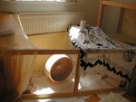 Mäuse-Internierung (2).jpg