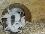 DSCN5912.jpg