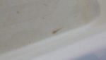20130610_150938.jpg