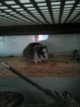 IMG-20130609-WA0000.jpg