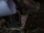 1371701129455.jpg