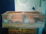 20130620_150613.jpg