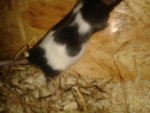20130620_163517.jpg