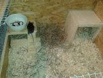 20130620_150619.jpg
