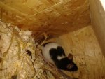 20130622_072425.jpg
