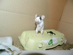 DSCN6679.jpg