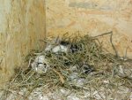 DSCN6815.jpg