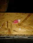 IMG-20130625-WA0002.jpg