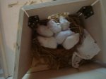 DSC06300.jpg